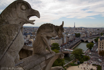 Gargoyles Watching Paris