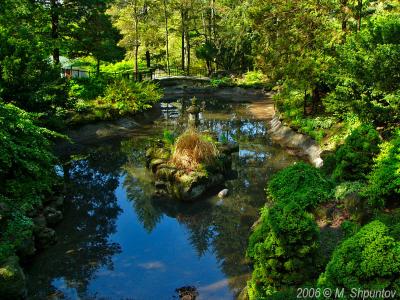 High Park Greens