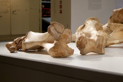 IMG_2988.jpg