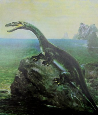Artist impression van de Nothosaurus (Zdeněk Burian, ergens uit de 60-er jaren van de vorige eeuw).