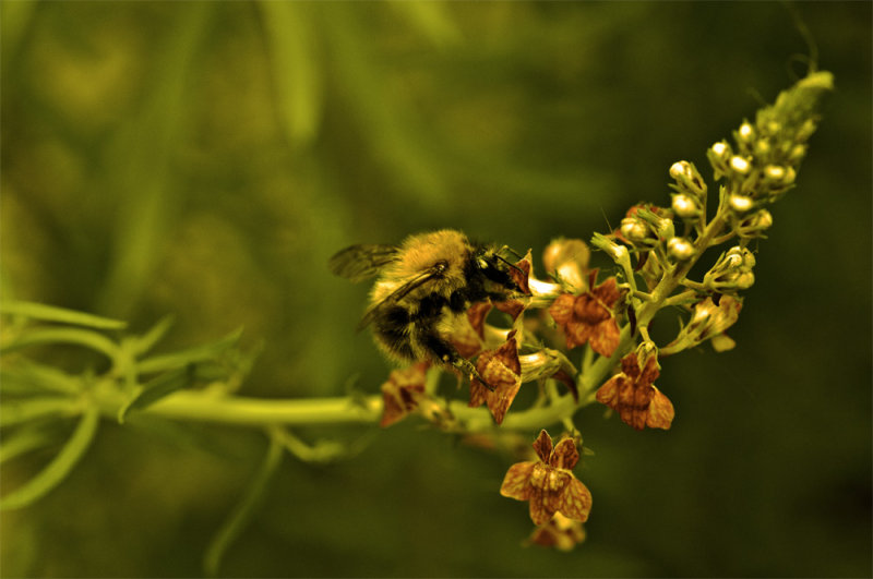 _DSC6554_edited-1.jpg