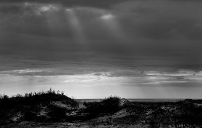 _DSC6742_edited-1.jpg