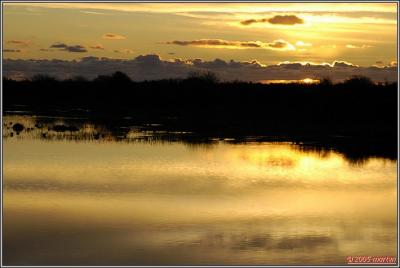 _DSC15283253 Sunset on the marshes 2.jpg