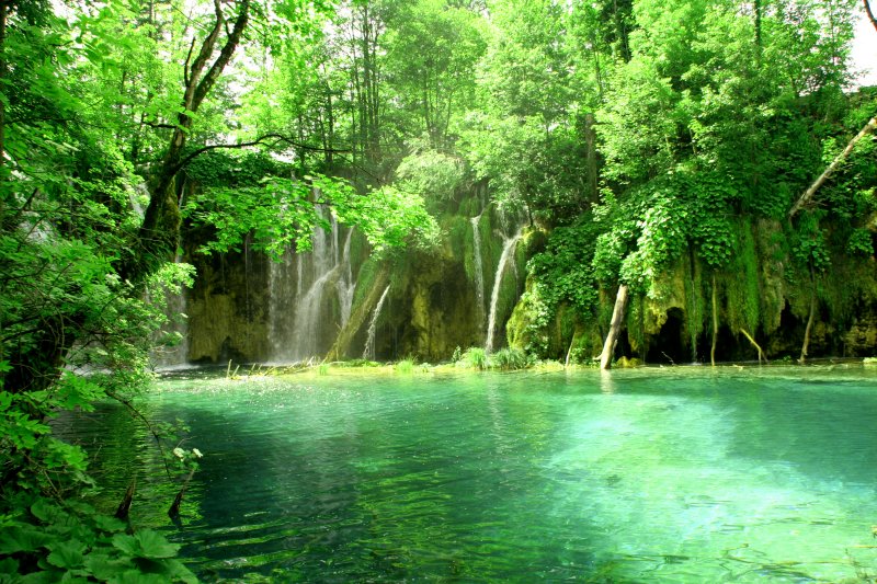 Plitvice lakes National Park.jpg