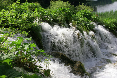 Plivice34A.jpg