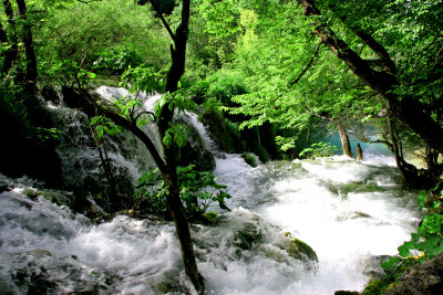 Plitivice31A.jpg