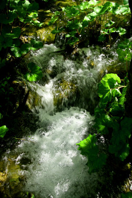 Plitvice18.jpg