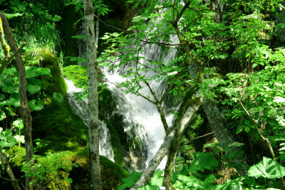 Plitvice25A.jpg