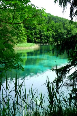 Plitvice7.jpg