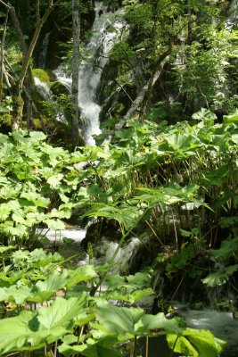 plitvice24.jpg