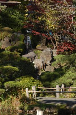 Path & Falls