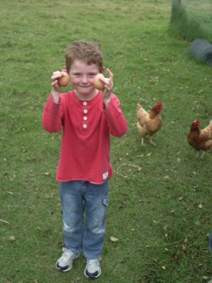 Here are my eggs
