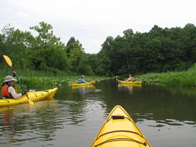 Floating down creek to Patuxent