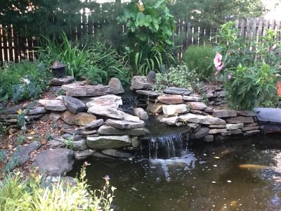 Waterfall into main pond