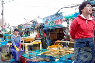 Daepohang Fish Market