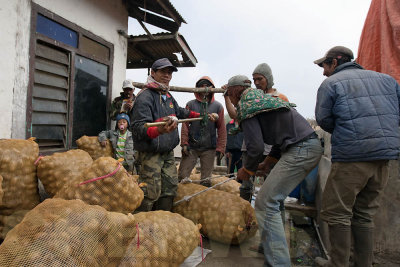 Potato traders