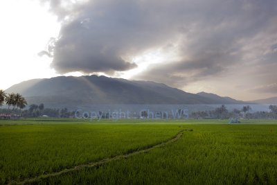 Sun setting behind the hills, West Sumatera