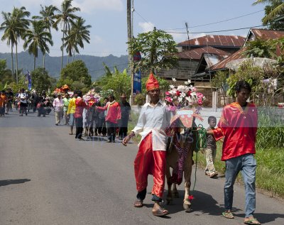 Village procession with the bulls to the racing field