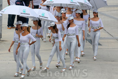 Petronas Grid girls