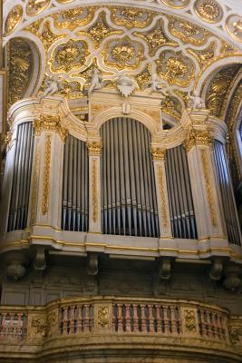 CRW_4398.jpg