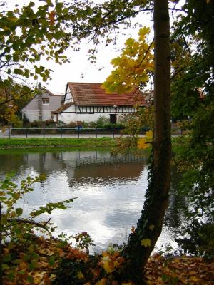 Illkirch in Autumn