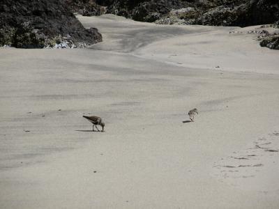 San Josef Bay