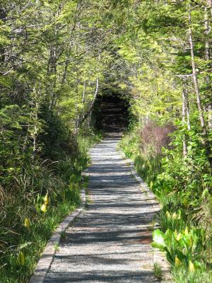 Trail from San Josef Bay