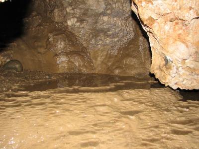 Horne Lake Caves