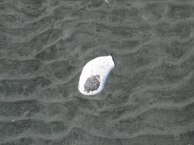 Parksville Beach