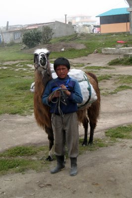 A man and his steed