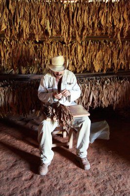 Tabacco