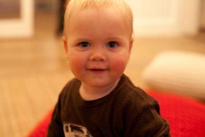 IMG_7330.jpg