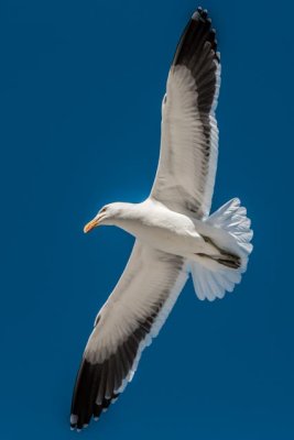 4J6A0304.jpg