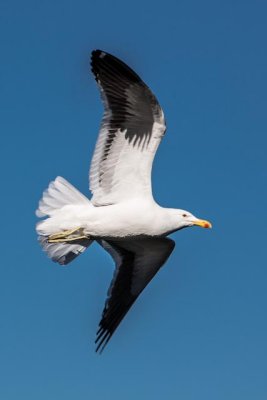 4J6A0347.jpg