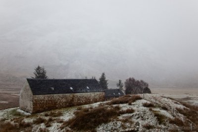 IMG_7472.JPG