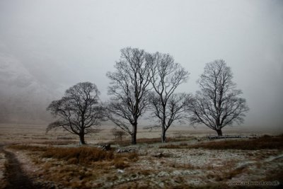 IMG_7473.JPG