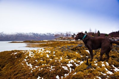 IMG_7507.JPG