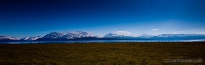 IMG_7780.JPG