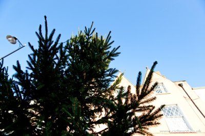 IMG_4748.JPG