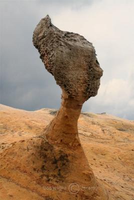 The Queen's Head Rock, Yehliu (May-Jun 06)