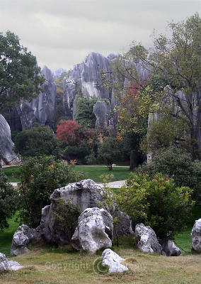 The Stone Forest, Kunming (Dec 05)