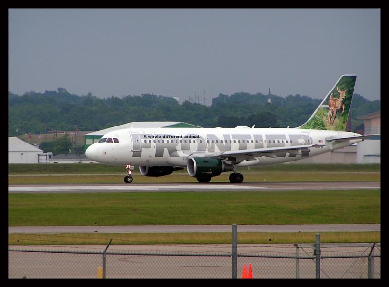 Frontier Airlines  Black-Tailed Deer Fawn