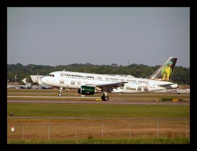 Frontier Airlines  Blue Crowned Conure Airbus