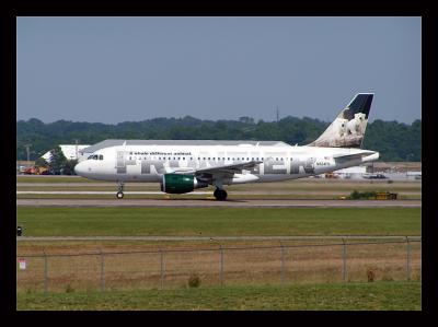 Frontier Airlines Polar Bears