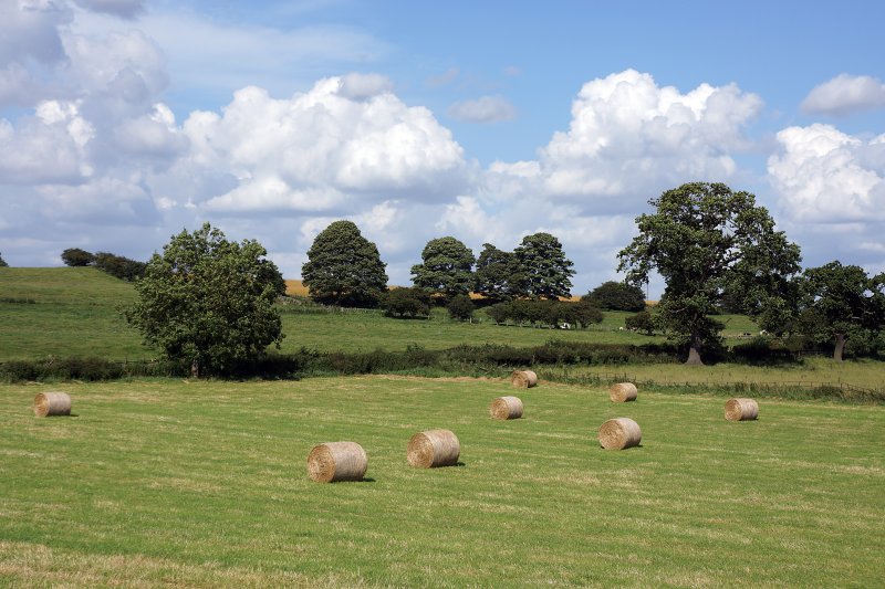 Bales and clouds