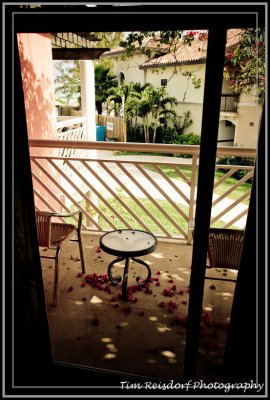 Balcony with Rose Pedals