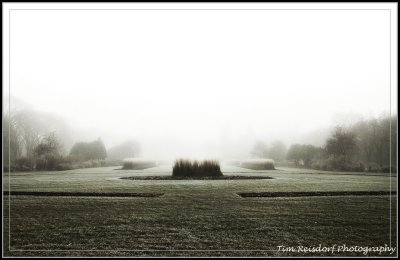 Fog Photography Winnipeg