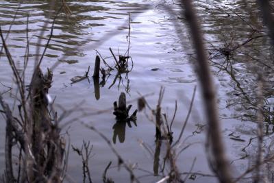 Sturgeon Creek 3