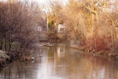 Sturgeon Creek 5