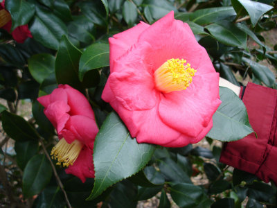 DSC05515.jpg